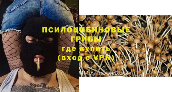 прущий лед Бронницы