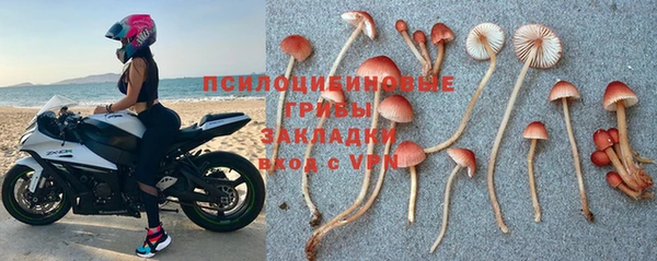 молекула духа Бугульма